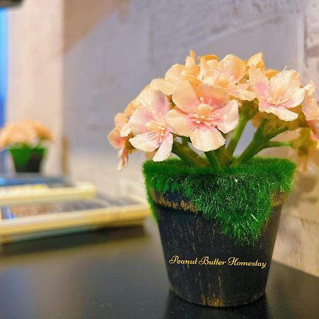 Peanut Butter Homestay #Trefoil Setia City 세티아 알람 외부 사진